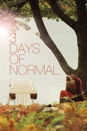 3 Days of Normal Poster