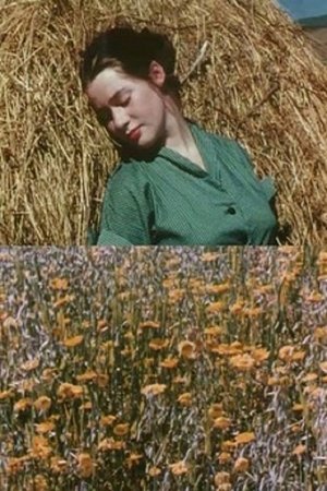 The Leaden Echo and the Golden Echo Poster