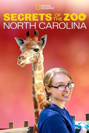Secrets of the Zoo: North Carolina Poster