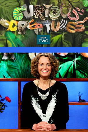 Curious Creatures Poster