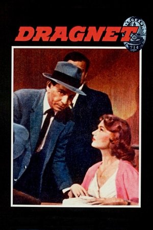 Dragnet Poster