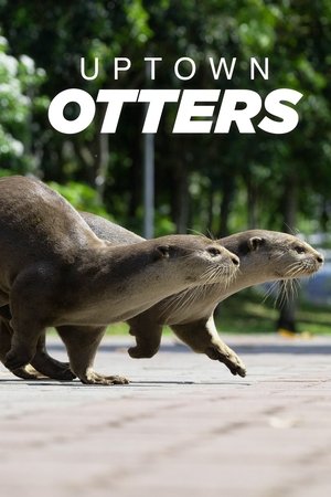 Uptown Otters Poster