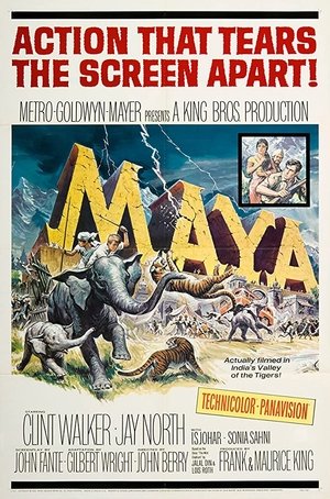 Maya Poster