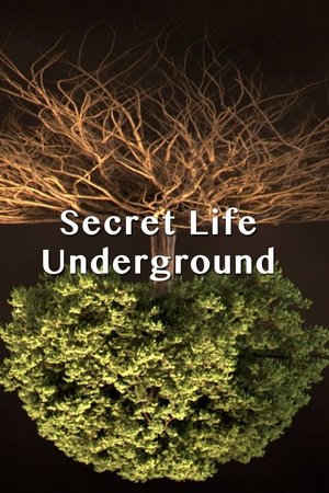 Secret Life Underground Poster