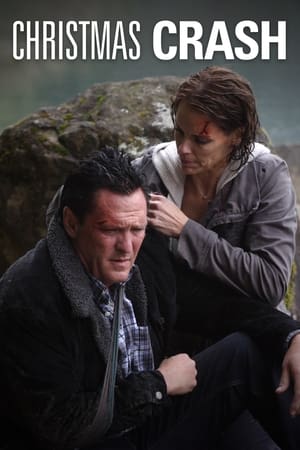 Christmas Crash Poster