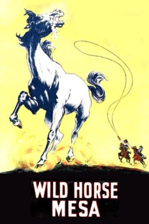 Wild Horse Mesa Poster