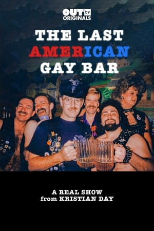 The Last American Gay Bar Poster