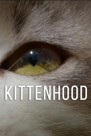 Kittenhood Poster