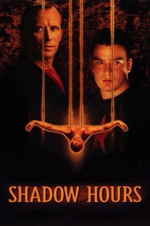 Shadow Hours Poster