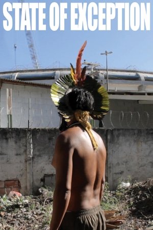 State of Exception Poster