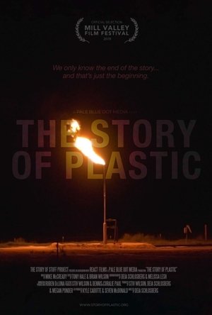 The Story of Plastic Poster