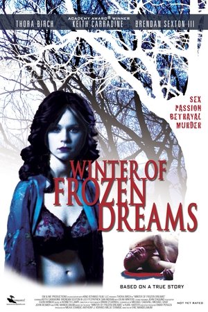 Winter of Frozen Dreams Poster