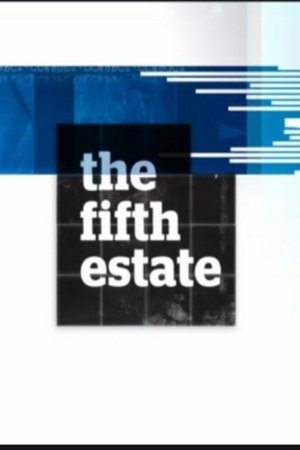 The Fifth Estate Poster