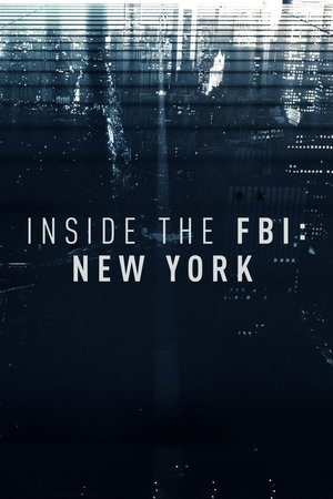 Inside the FBI: New York Poster