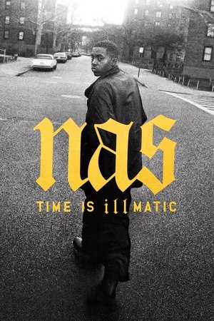 Nas: Time Is Illmatic Poster