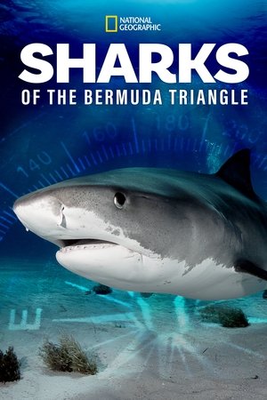 Sharks of the Bermuda Triangle Poster