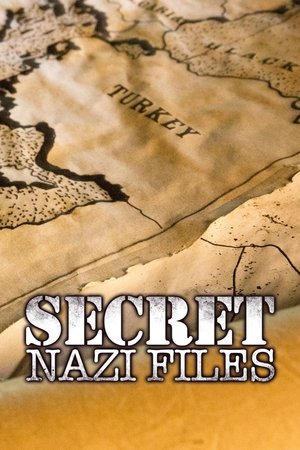 Nazi Secret Files Poster