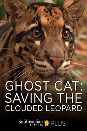 Ghost Cat: Saving the Clouded Leopard Poster