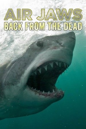 Air Jaws: Back From The Dead Poster