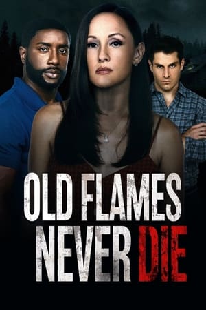 Old Flames Never Die Poster