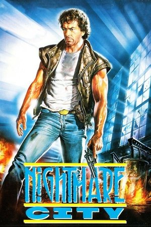 City of Shadows Poster