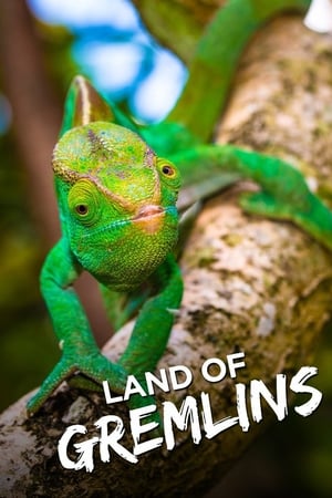 Land of Gremlins Poster