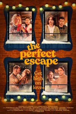 The Perfect Escape Poster
