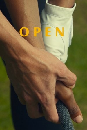 Open Poster