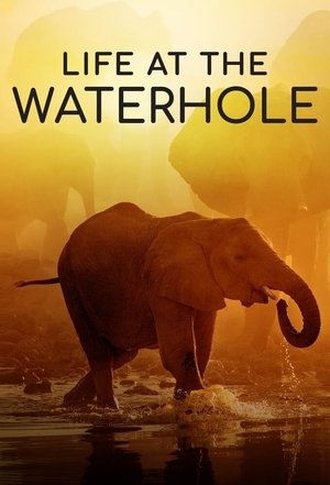 Life at the Waterhole Poster