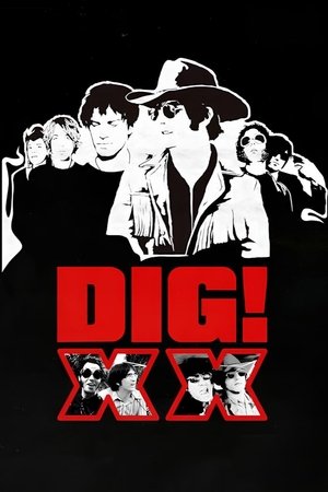 DIG! XX Poster