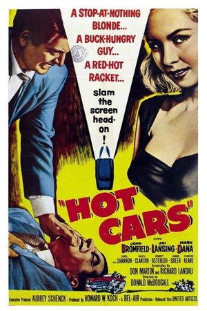 Hot Cars Poster