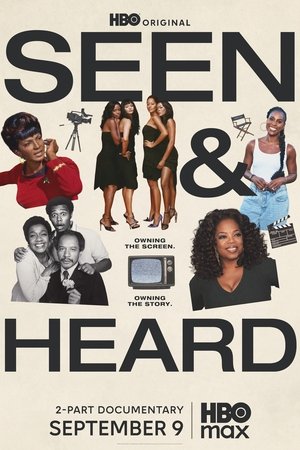 Seen & Heard: The History of Black Television Poster