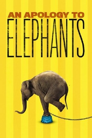 An Apology to Elephants Poster