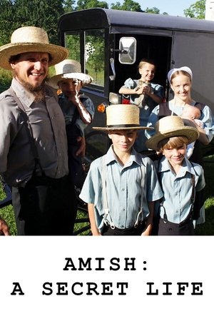 Amish: A Secret Life Poster