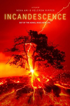 Incandescence Poster