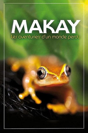 Makay The Lost World Poster
