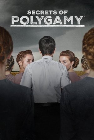 Secrets of Polygamy Poster