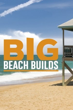 Big Beach Builds Poster